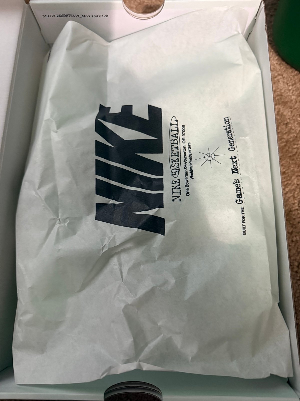 Nike Sabrina 3 Statue of Liberty Mint Foam shoe and packaging detail